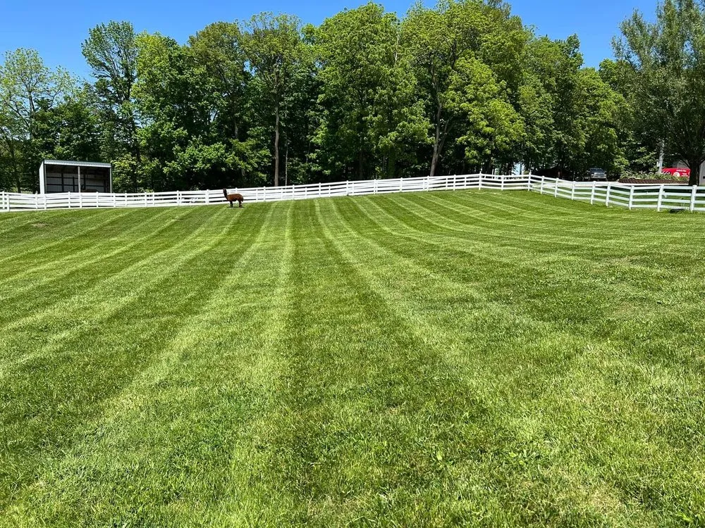 Professional yard cleanup service for homes across Pittsboro, IN - Blue Collar Serviecs