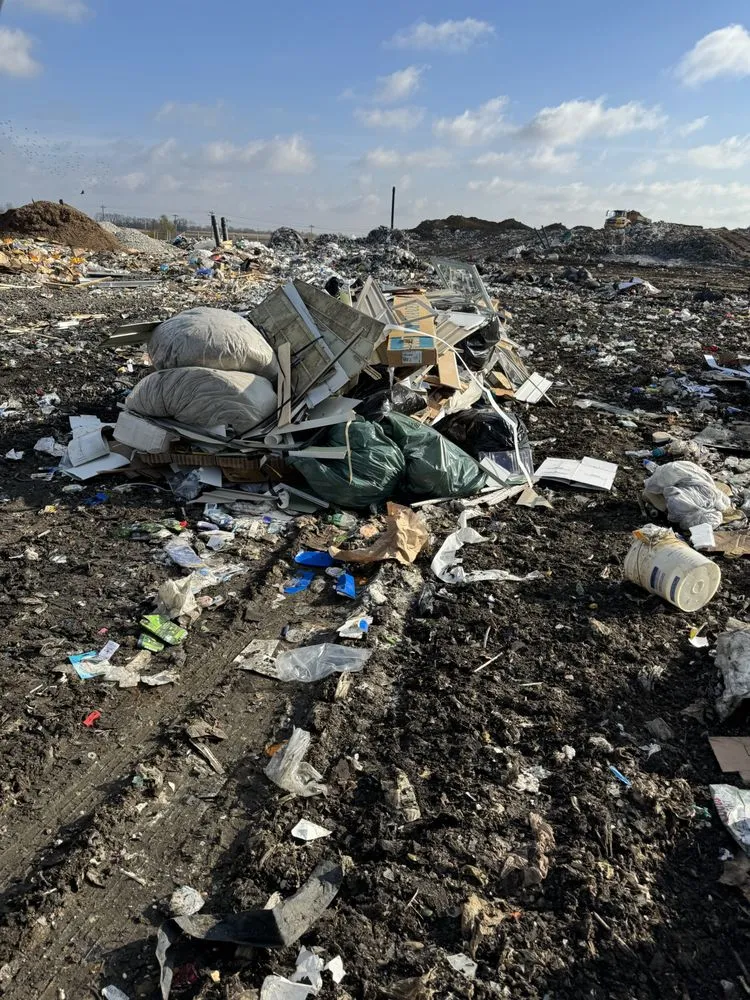 Expert residential landscaping experts serving Pittsboro, IN - Blue Collar Serviecs