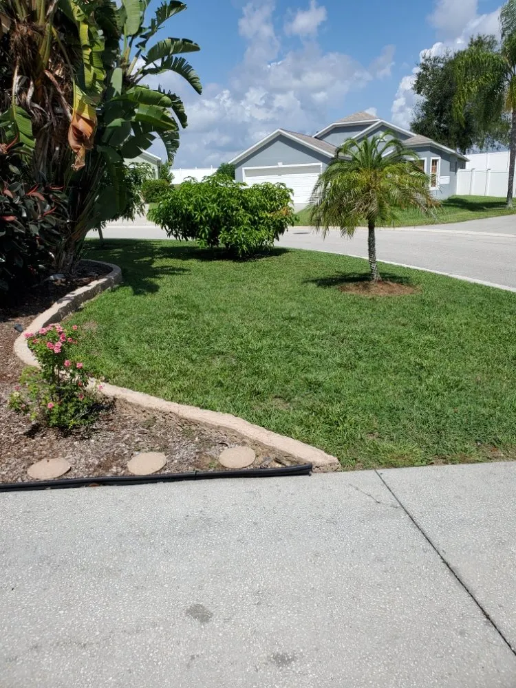 Top-rated landscaping services experts serving Winter Haven, FL - Blue Comet Services