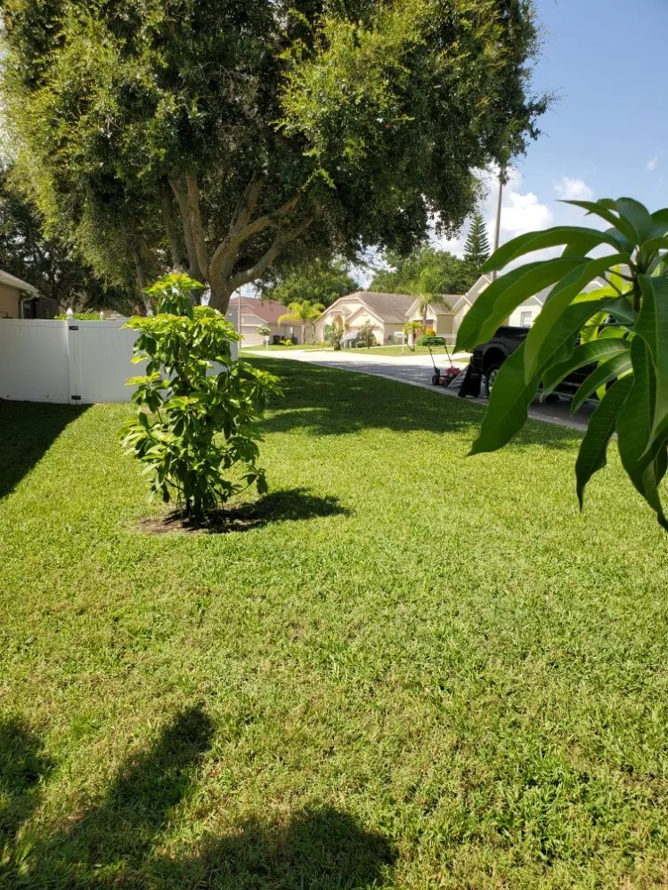 Affordable lawn care service in Winter Haven, FL by Blue Comet Services