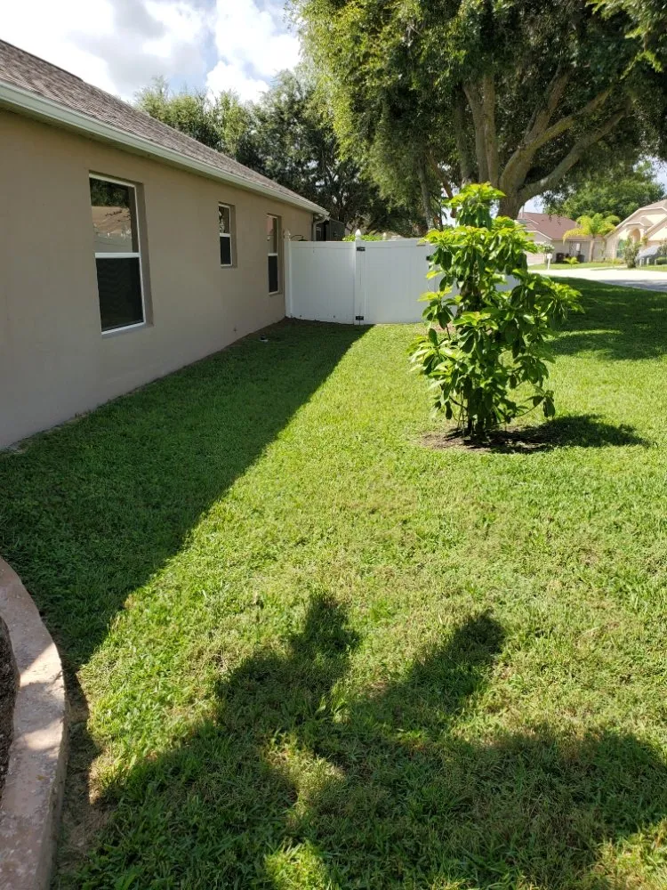 Reliable landscape installation in Winter Haven, FL by Blue Comet Services