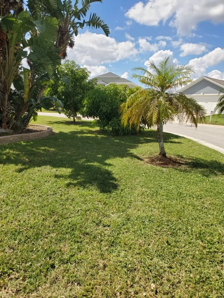 Expert landscaping services experts serving Winter Haven, FL - Blue Comet Services