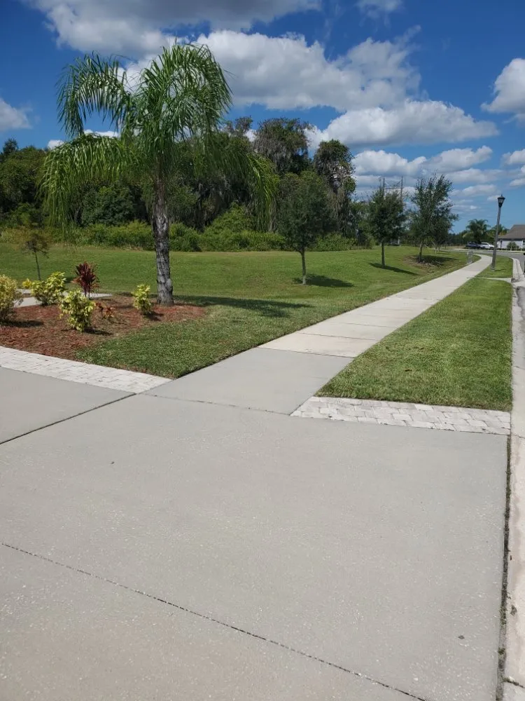 Top-rated yard maintenance experts serving Winter Haven, FL - Blue Comet Services