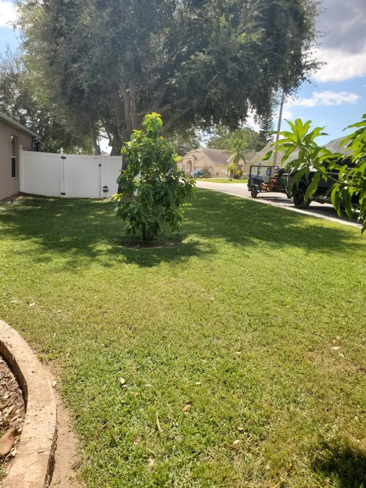 Local residential landscaping experts serving Winter Haven, FL - Blue Comet Services