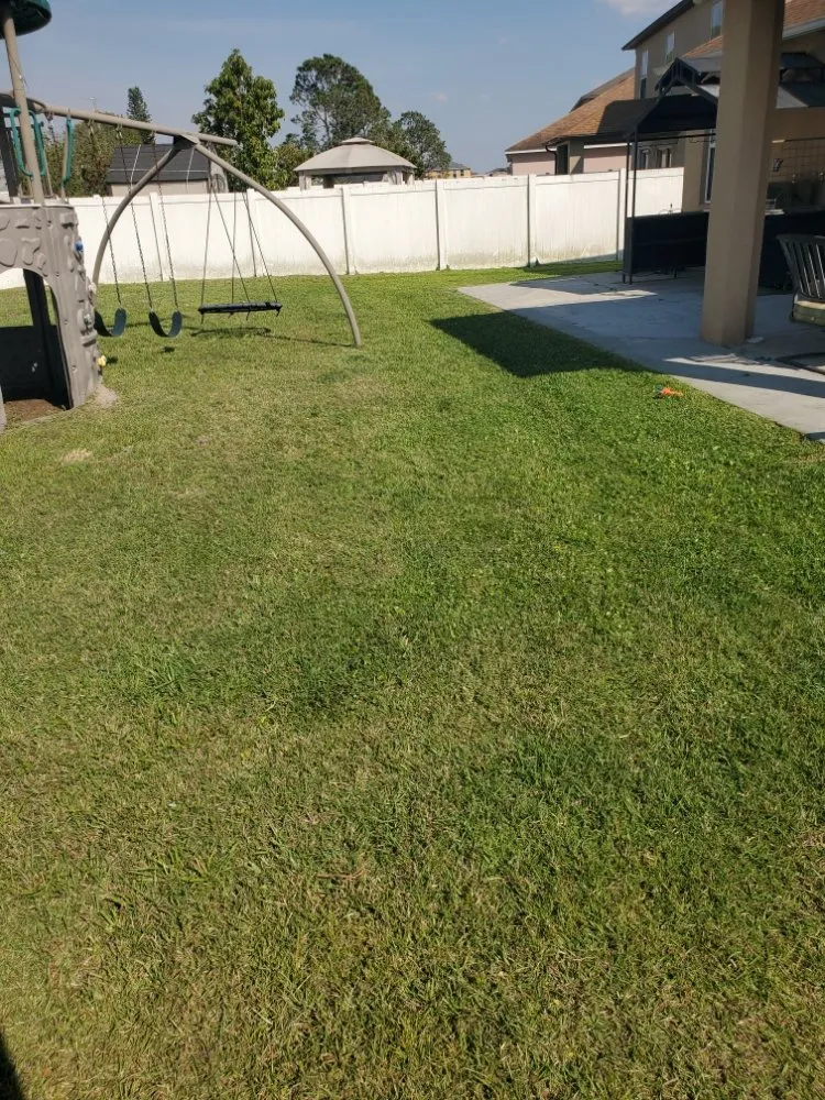 Custom residential landscaping in Winter Haven, FL by Blue Comet Services