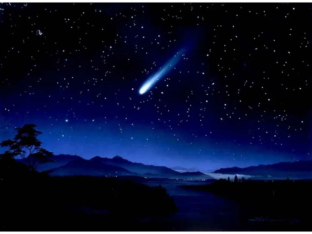 Trusted residential landscaping in Winter Haven, FL by Blue Comet Services