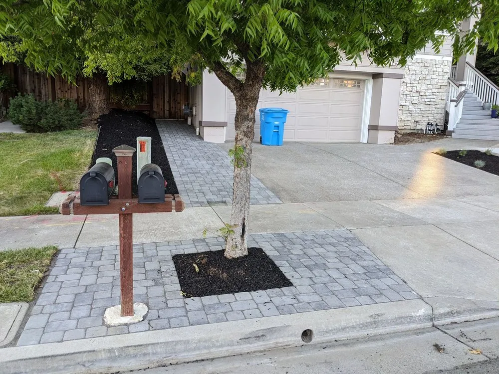 Local landscape installation for outdoor upgrades in Penngrove, CA by Blue Cypress Landscaping
