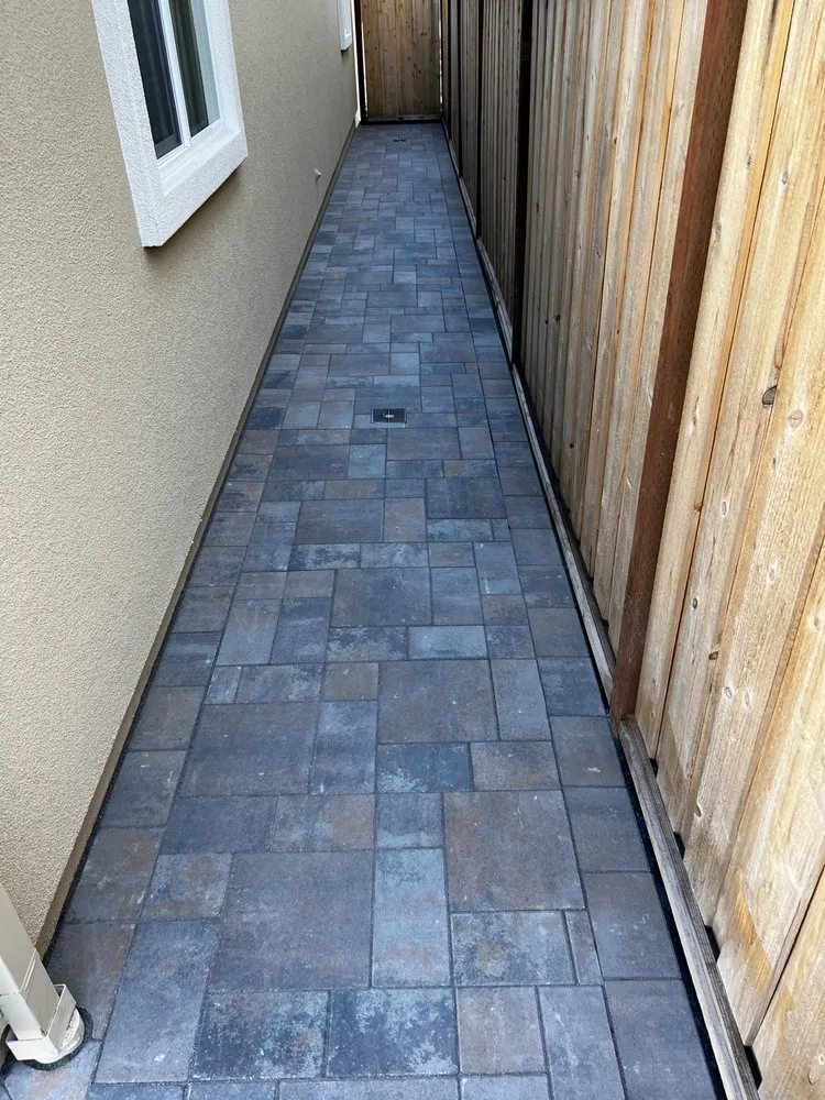 Trusted yard maintenance in Penngrove, CA - Blue Cypress Landscaping