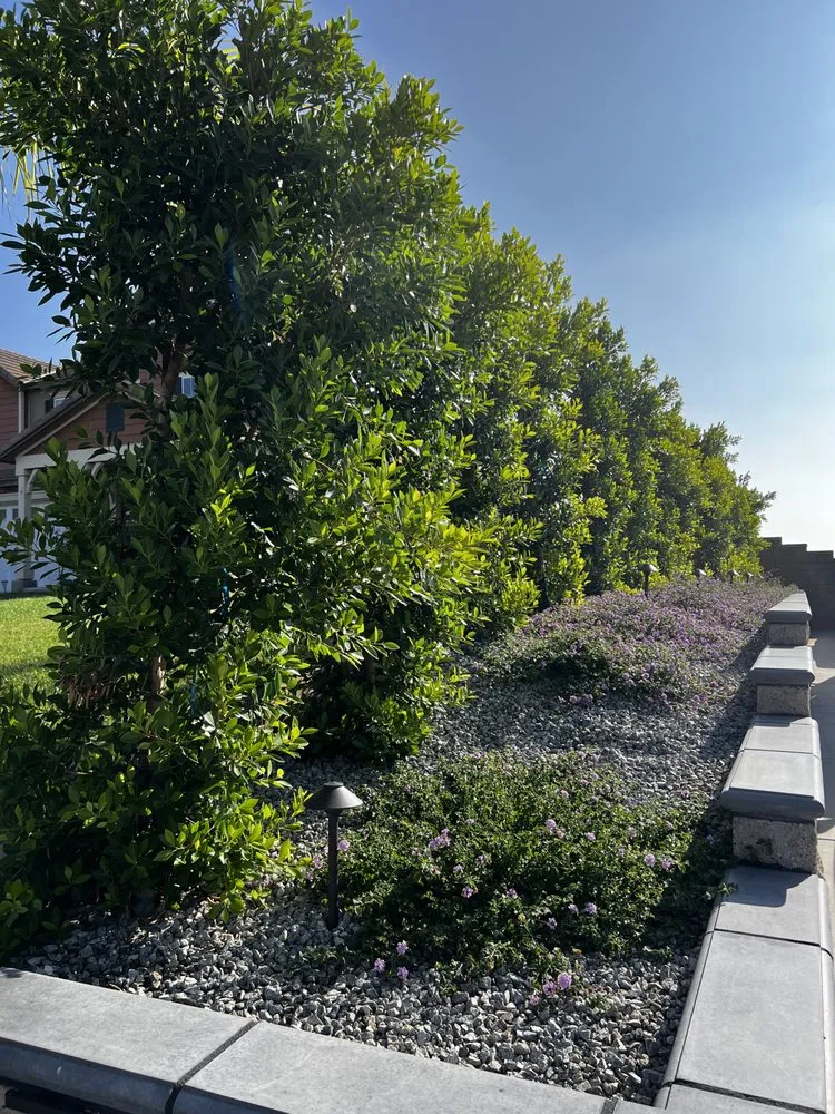 Expert landscape design experts serving Holladay, TN - Blue Diamond Construction