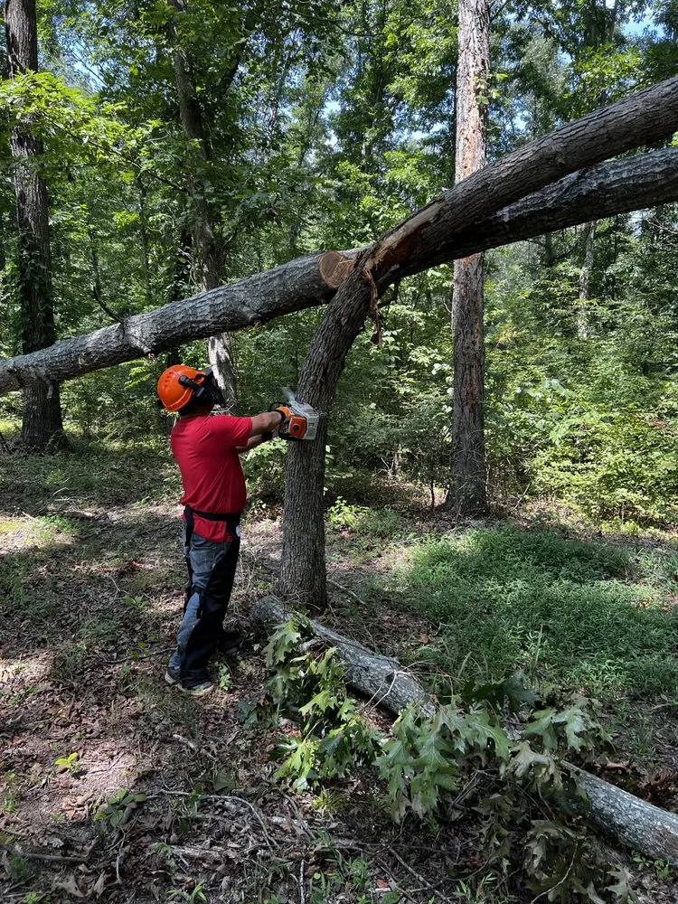 Trusted yard cleanup service for outdoor upgrades in Holladay, TN by Blue Diamond Construction