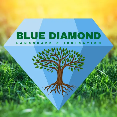 Local lawn mowing service experts serving Liberty Hill, TX - Blue Diamond Landscape & Irrigation