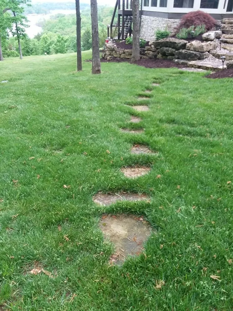 Custom outdoor landscaping in Rueter, MO by Blue Diamond