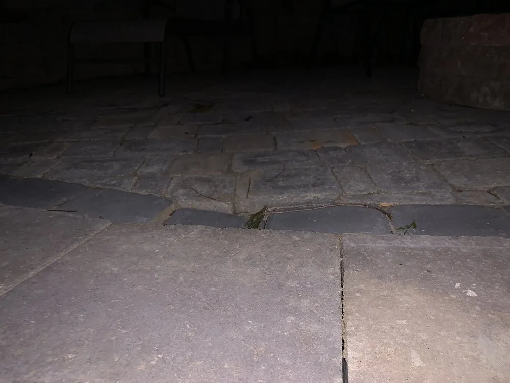 Top-rated yard cleanup service for residential properties in Lyman, SC by Blue Dot Landscaping