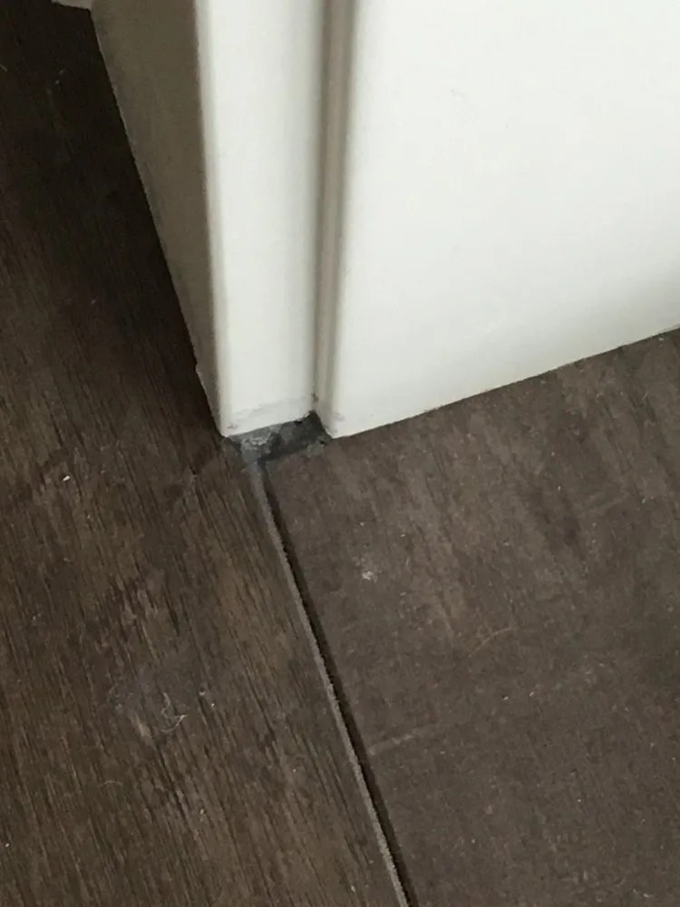 Affordable landscape design in Eagle Point, OR - Blue Dragonfly