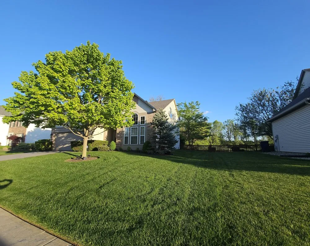 Trusted landscaping services with custom design in Fishers, IN by Blue Duck Lawn Care