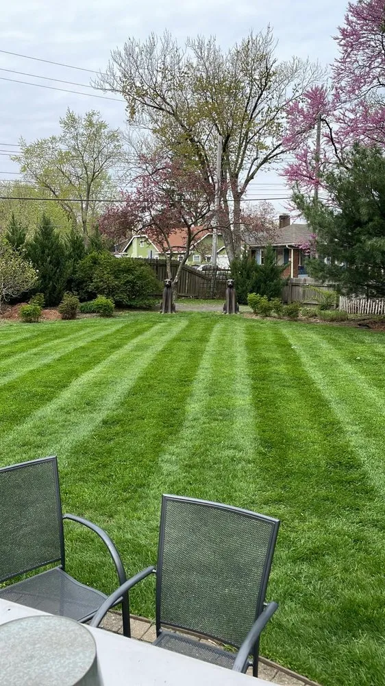 Trusted yard cleanup service near you across Fishers, IN - Blue Duck Lawn Care