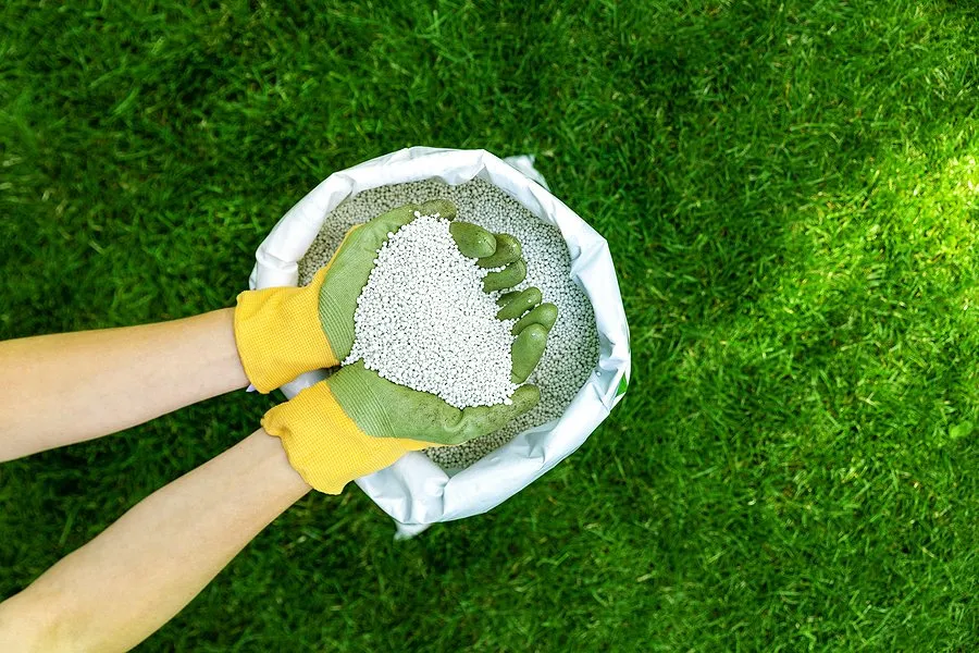 Trusted yard cleanup service in Fishers, IN by Blue Duck Lawn Care