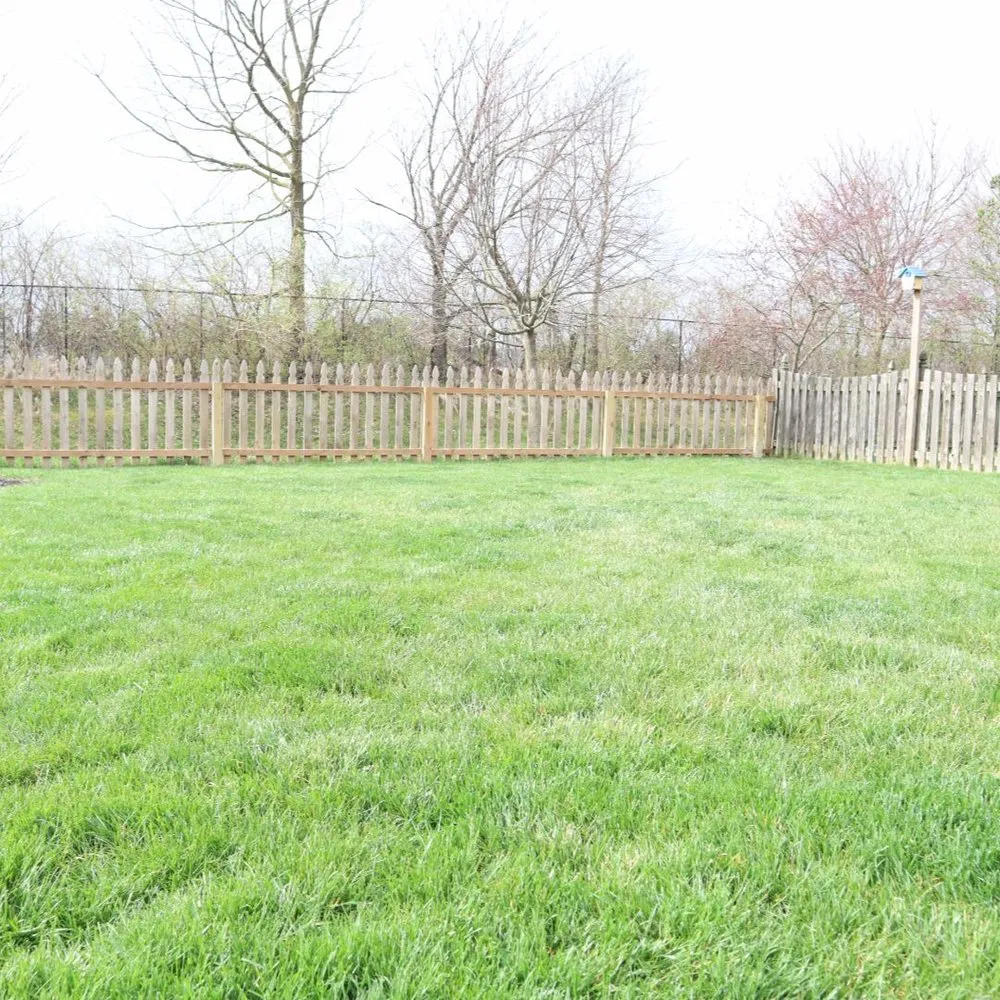 Trusted outdoor landscaping for residential properties across Indianapolis, IN - Blue Duck Lawn Care