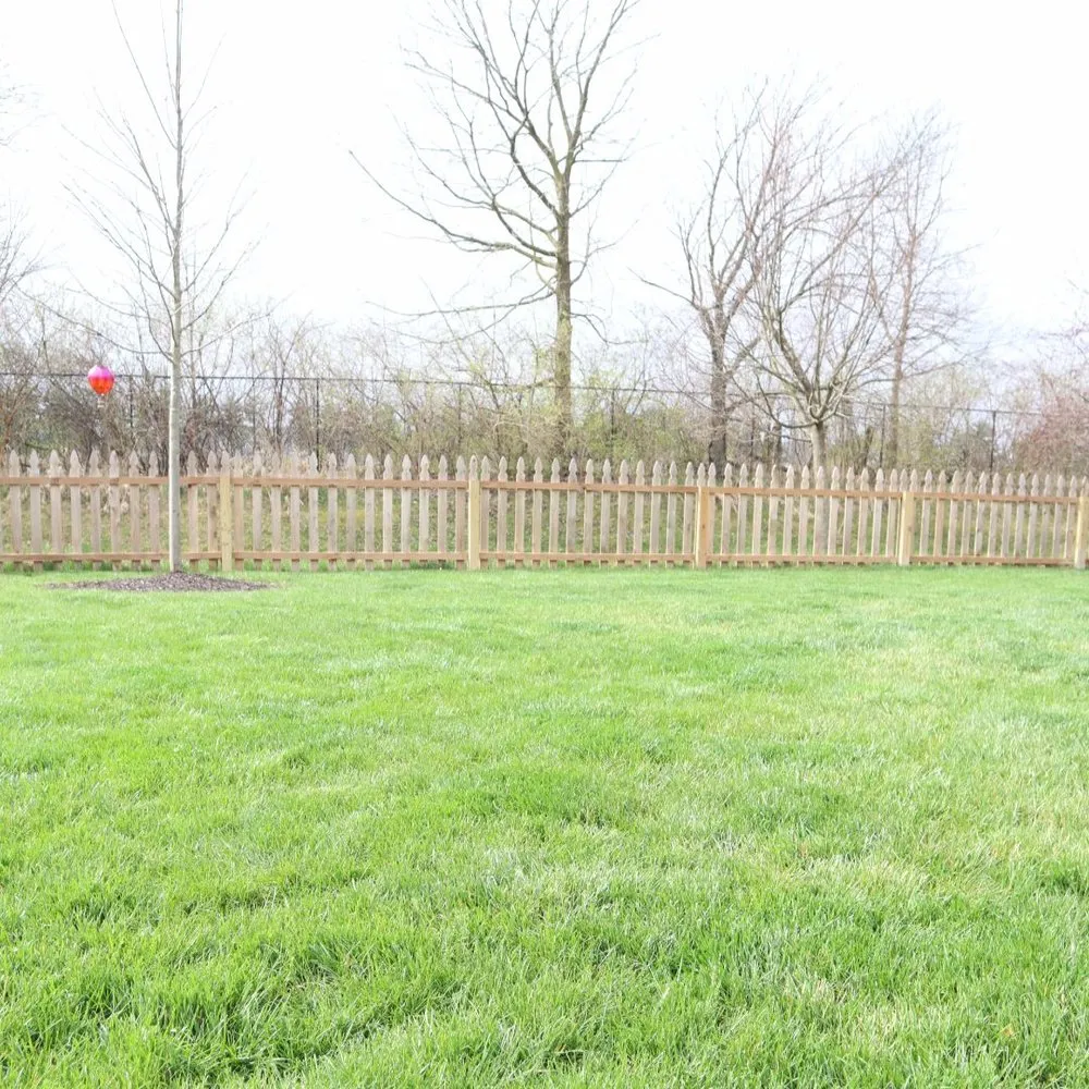 Custom lawn care service with custom design in Indianapolis, IN by Blue Duck Lawn Care