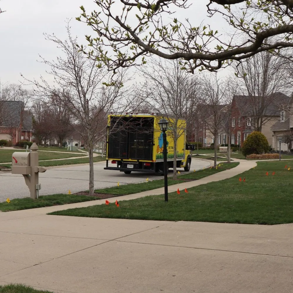 Reliable yard maintenance in Indianapolis, IN - Blue Duck Lawn Care