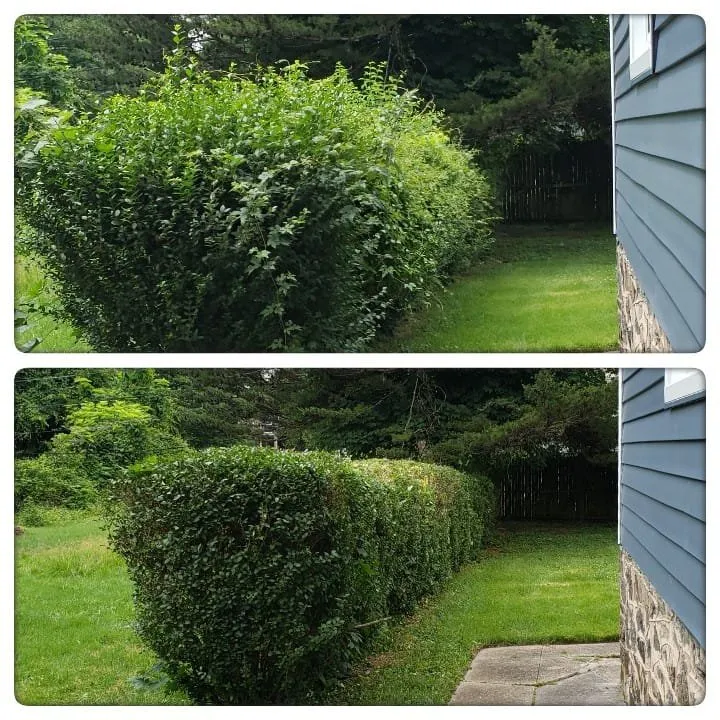 Affordable garden landscaping experts serving Baltimore, MD - Blue Dyamond Lawn Care