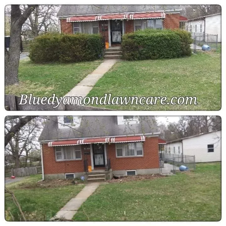 Trusted landscape design for beautiful yards across Baltimore, MD - Blue Dyamond Lawn Care