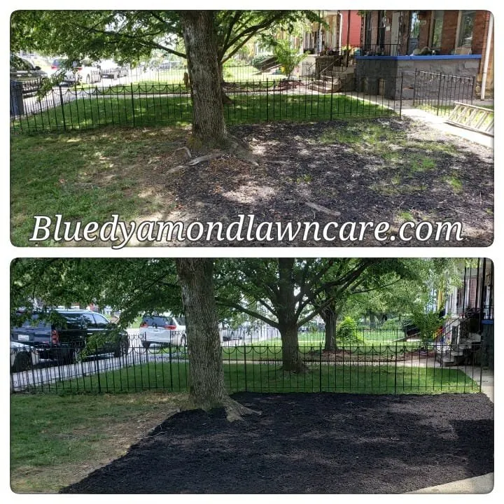 Local outdoor landscaping experts serving Baltimore, MD - Blue Dyamond Lawn Care