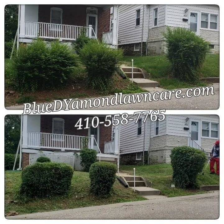 Reliable landscape design in Baltimore, MD - Blue Dyamond Lawn Care