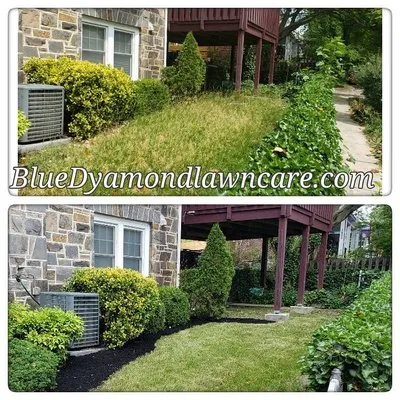 Blue Dyamond Lawn Care Logo
