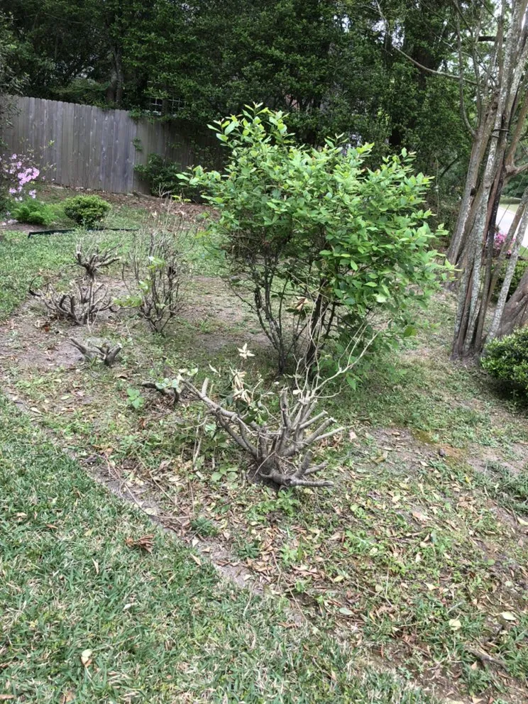 Expert lawn care service in Conroe, TX - Blue Earth Sprinklers and Landscaping