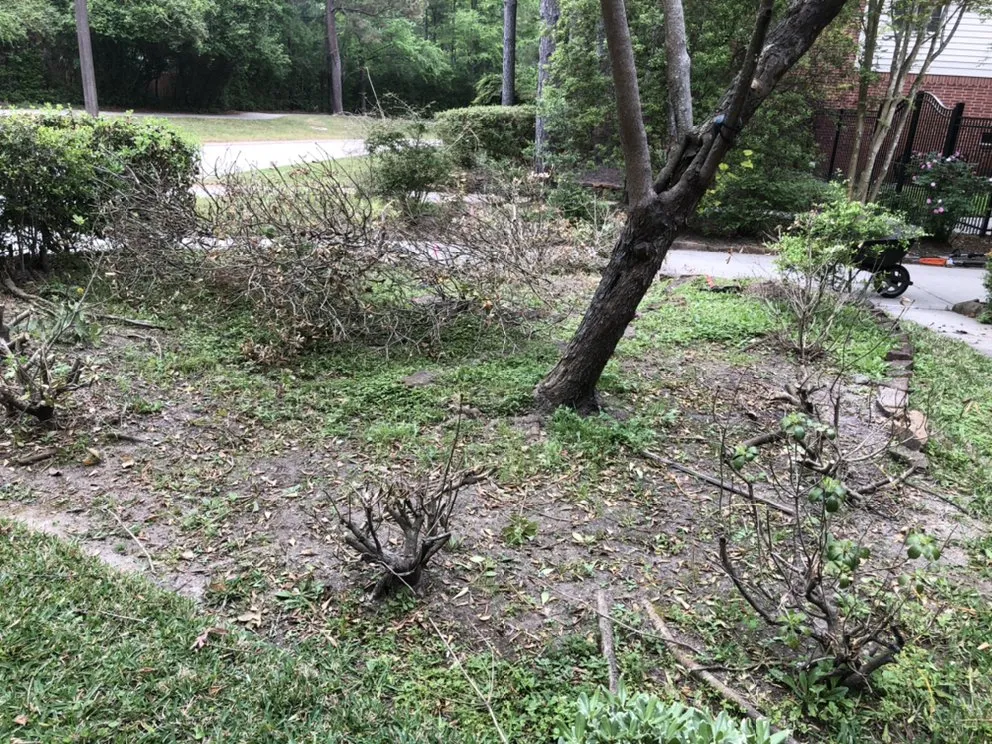 Professional yard maintenance near you in Conroe, TX by Blue Earth Sprinklers and Landscaping