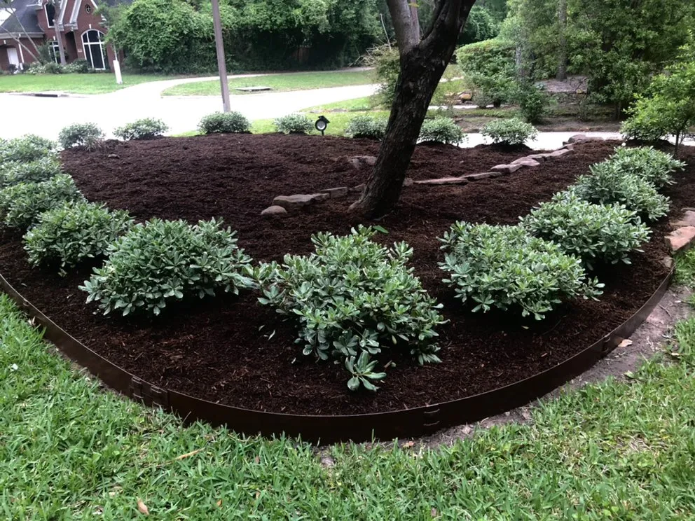 Professional lawn care service in Conroe, TX by Blue Earth Sprinklers and Landscaping