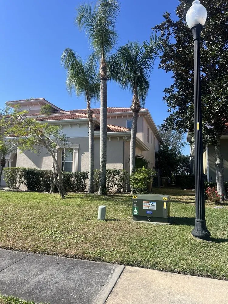 Expert garden landscaping for beautiful yards across Mascotte, FL - Blue Eyes