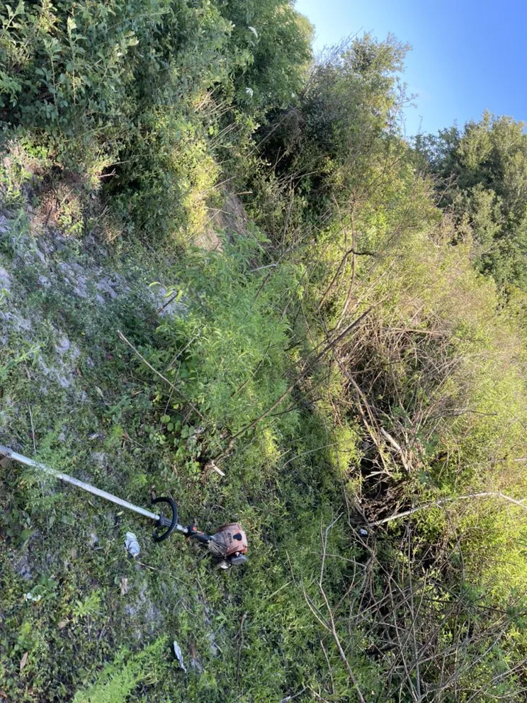 Custom lawn care service for residential properties in Mascotte, FL by Blue Eyes