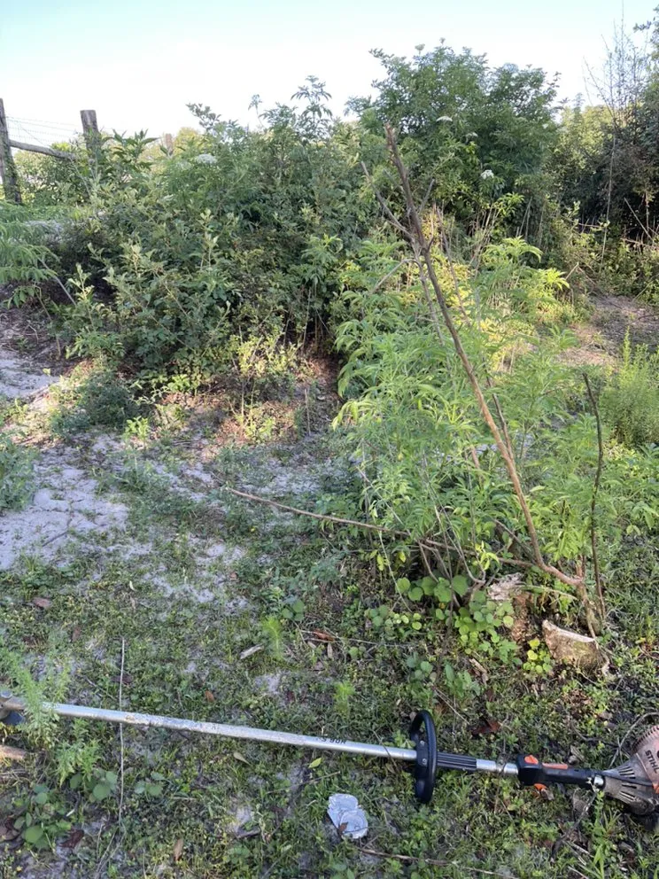 Local garden landscaping for outdoor upgrades in Mascotte, FL by Blue Eyes