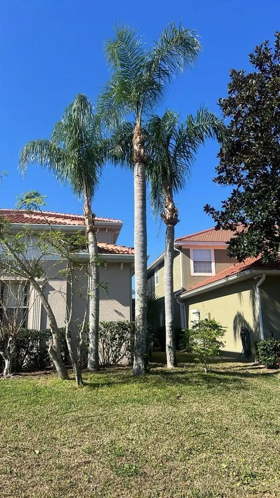 Professional lawn care service in Mascotte, FL by Blue Eyes