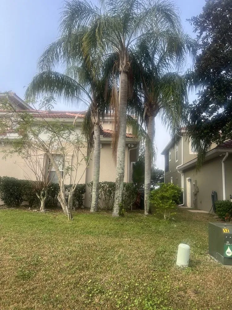 Expert lawn care service for outdoor upgrades in Mascotte, FL by Blue Eyes