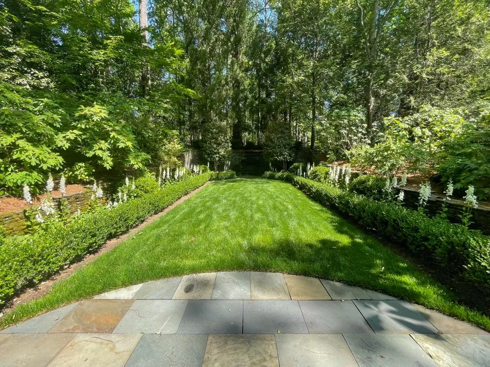 Reliable yard maintenance in Powder Springs, GA - Blue Fossill