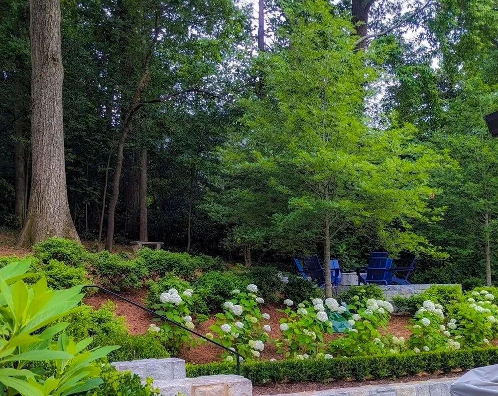 Trusted lawn mowing service in Powder Springs, GA - Blue Fossill