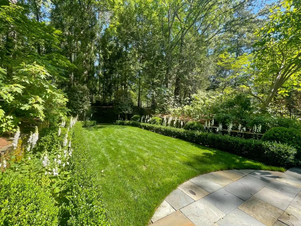 Expert yard cleanup service experts serving Powder Springs, GA - Blue Fossill