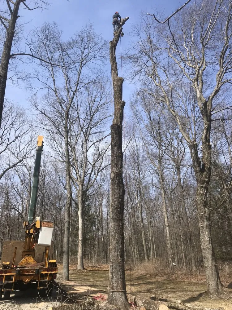 Expert yard maintenance near you in Danbury, CT by Blue Fox landscaping services