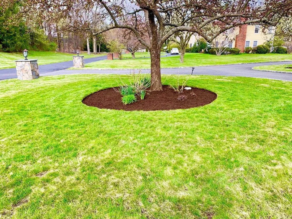 Affordable landscape installation for outdoor upgrades in Danbury, CT by Blue Fox landscaping services