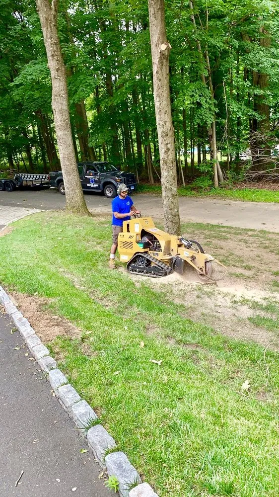 Expert lawn care service in Danbury, CT - Blue Fox landscaping services