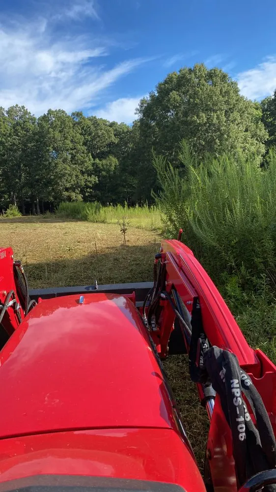 Reliable landscaping services for year-round maintenance in Matthews, NC by Blue Fox Lawn Service