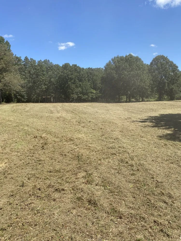 Top-rated yard cleanup service experts serving Matthews, NC - Blue Fox Lawn Service