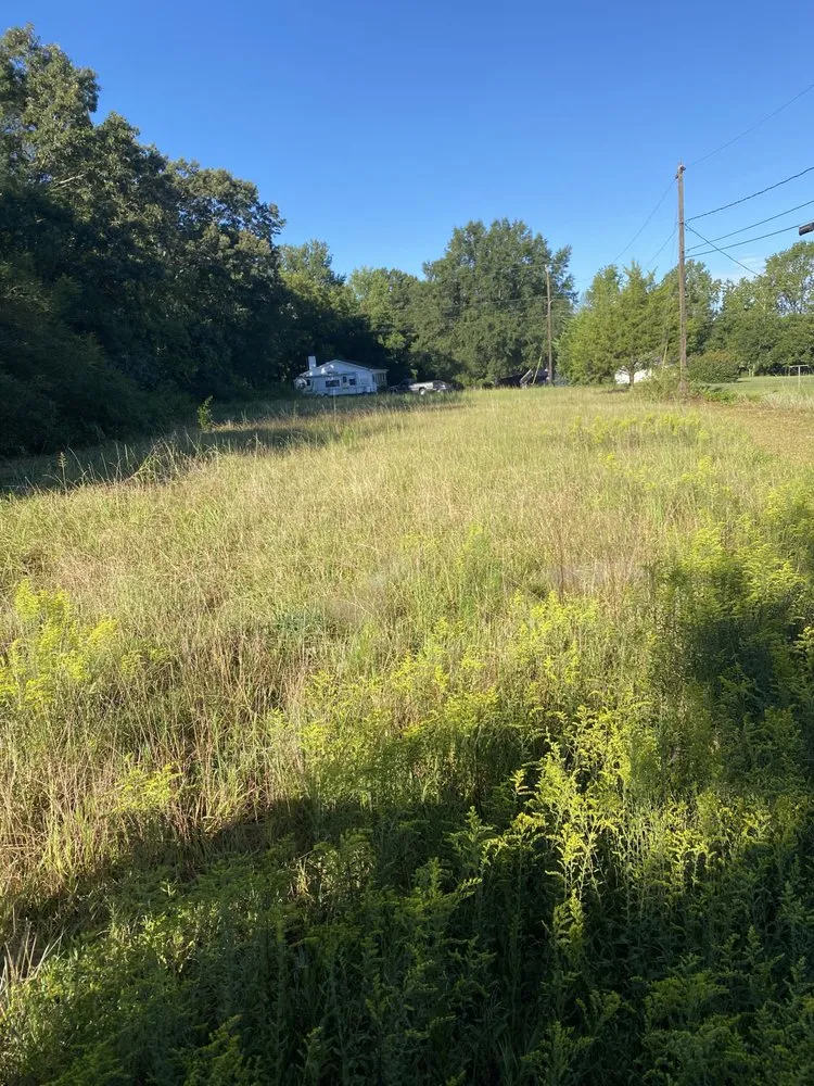 Local yard cleanup service in Matthews, NC - Blue Fox Lawn Service