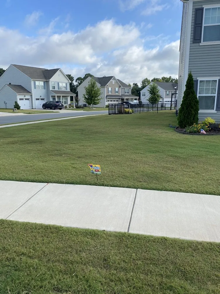 Affordable landscaping services in Matthews, NC - Blue Fox Lawn Service