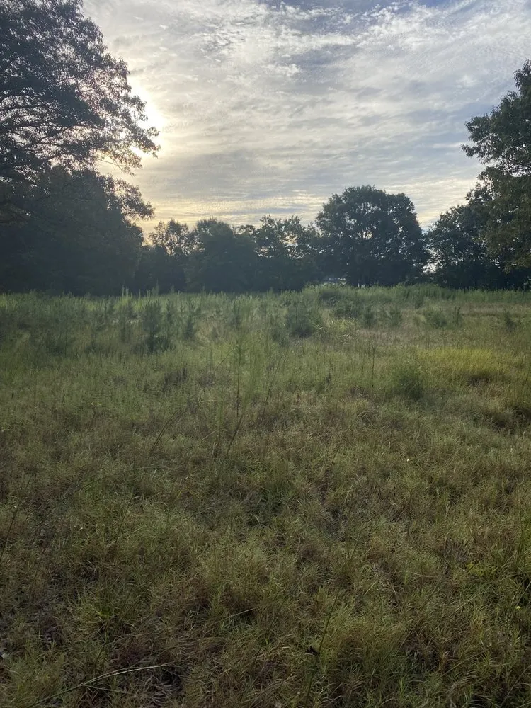 Professional lawn care service in Matthews, NC - Blue Fox Lawn Service