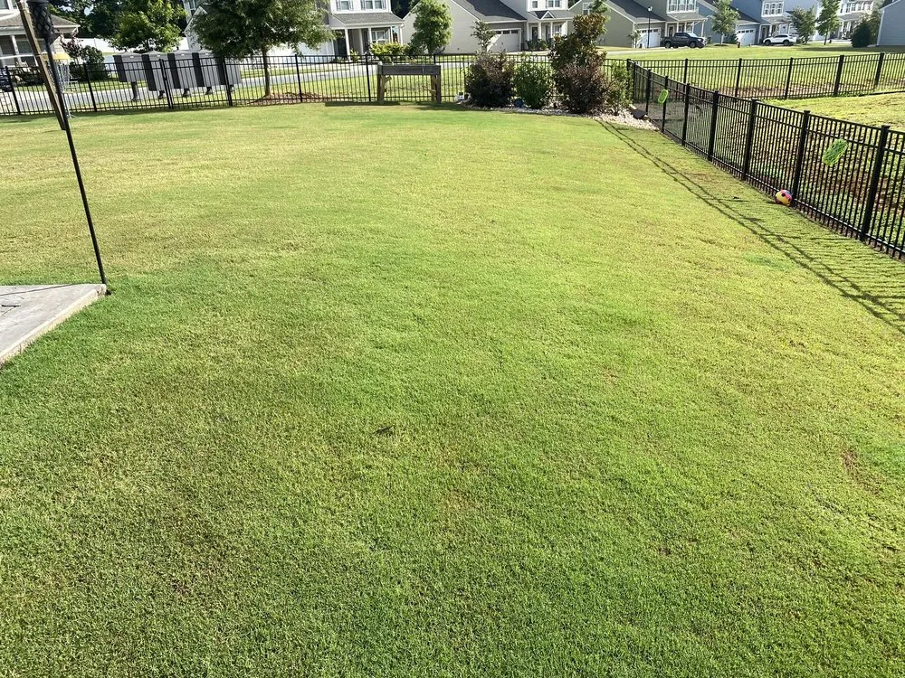 Affordable lawn care service in Matthews, NC - Blue Fox Lawn Service