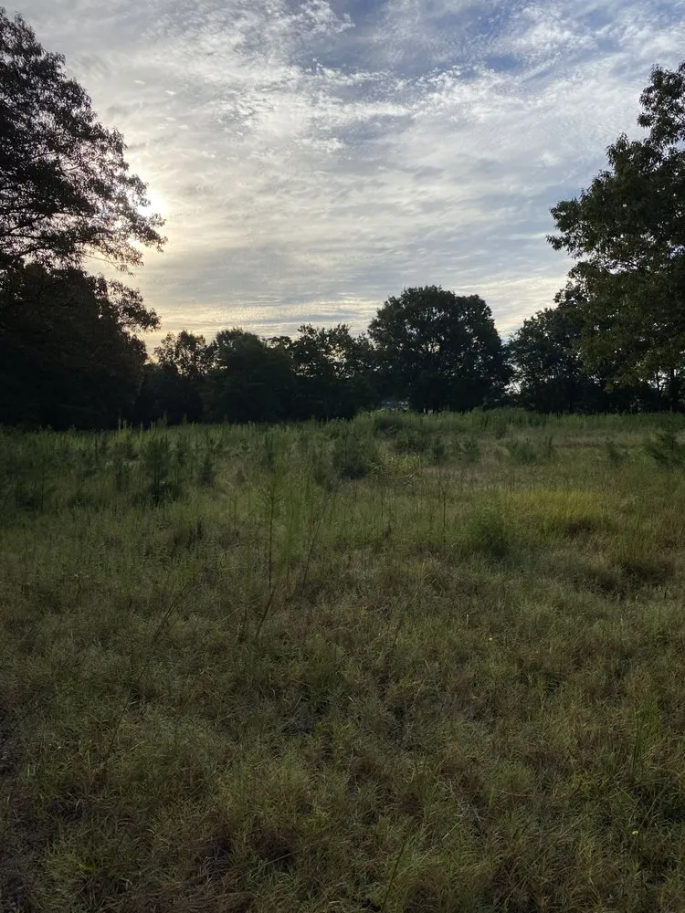 Custom residential landscaping for outdoor upgrades across Matthews, NC - Blue Fox Lawn Service